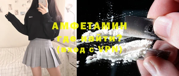 индика Арсеньев