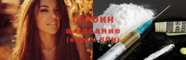 индика Арсеньев
