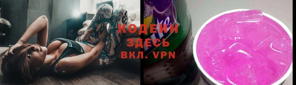 индика Арсеньев