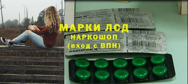 индика Арсеньев