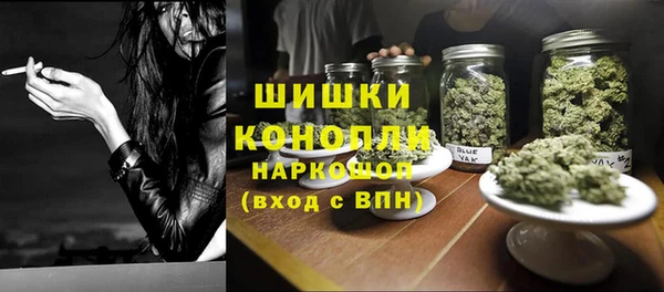 индика Арсеньев