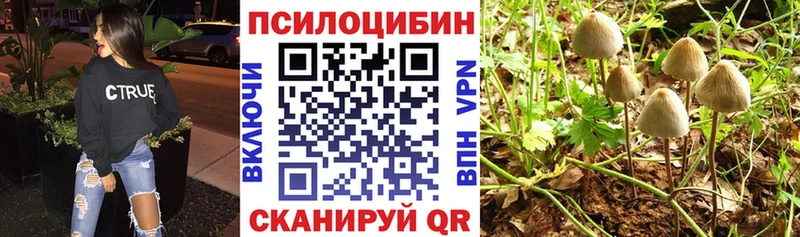 Галлюциногенные грибы GOLDEN TEACHER  Бронницы 